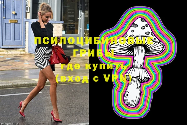 дурь Арсеньев