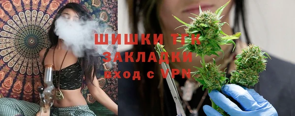 дурь Арсеньев