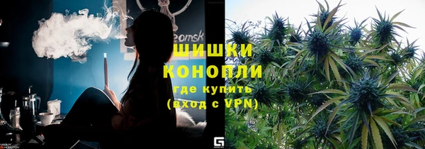 дурь Арсеньев